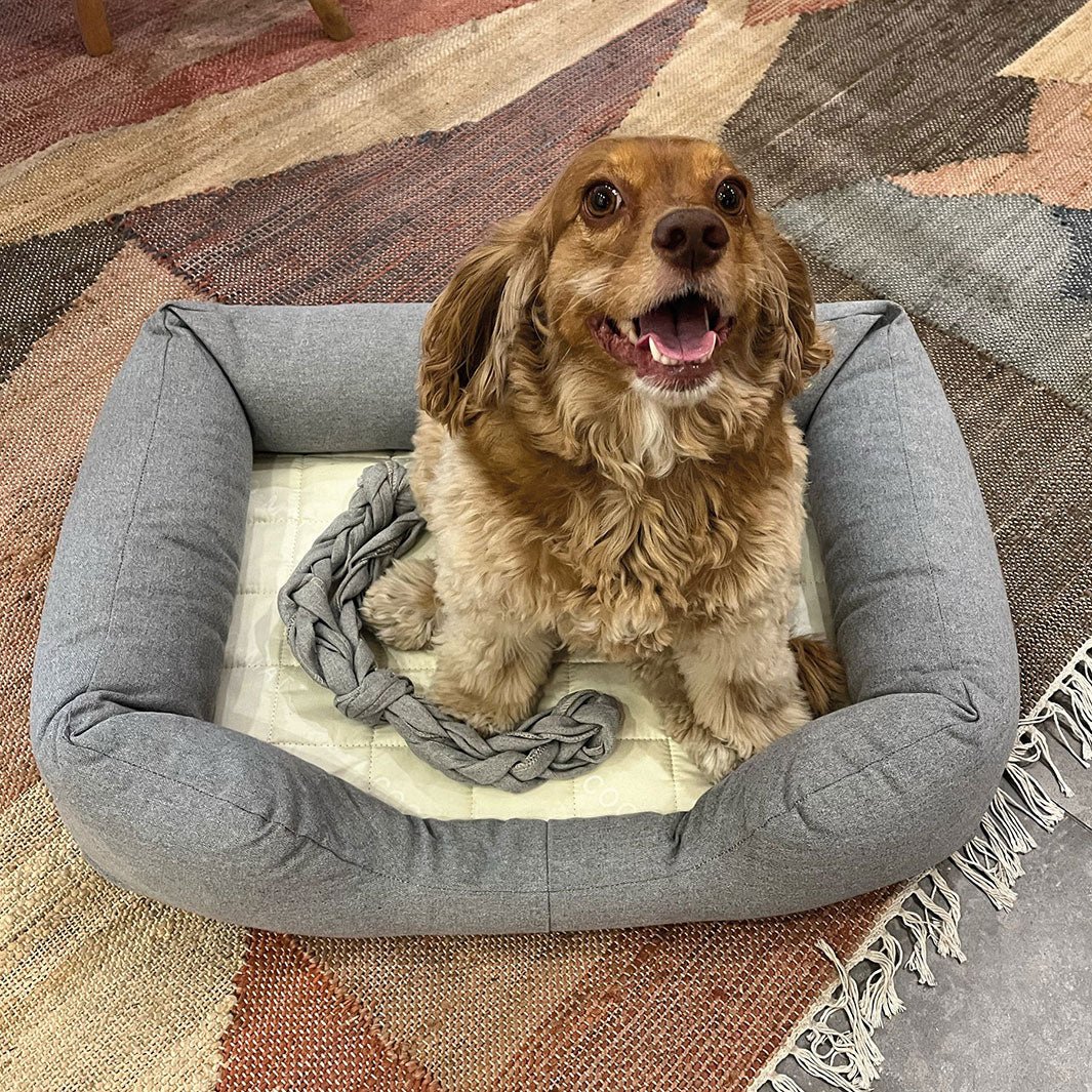 Panier pour chien Hector - Grey